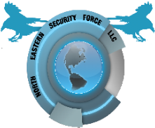 NESF Logo